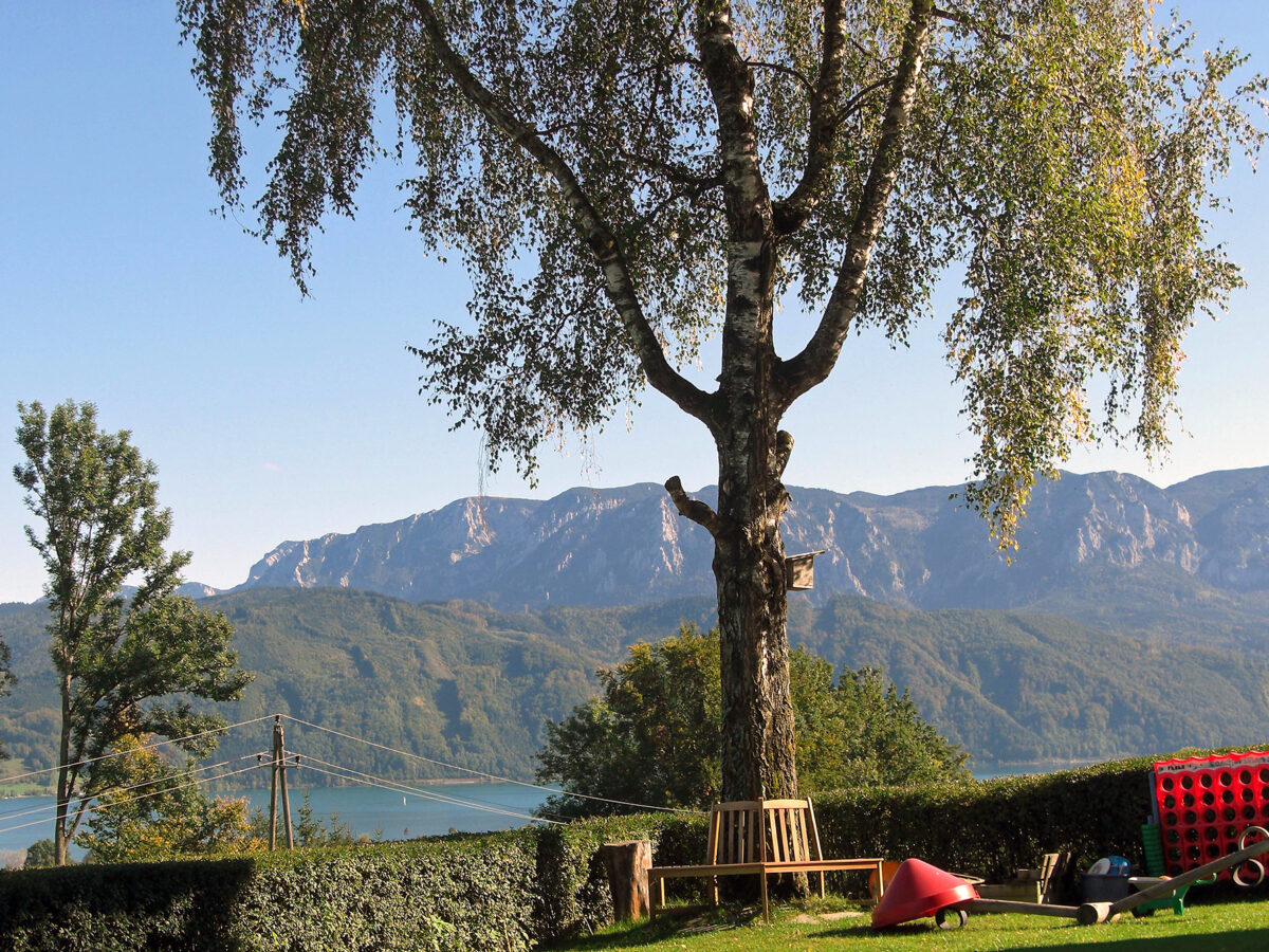 Garten mit Blick auf den Attersee